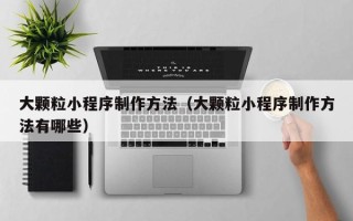 广饶大颗粒小程序制作方法（大颗粒小程序制作方法有哪些）